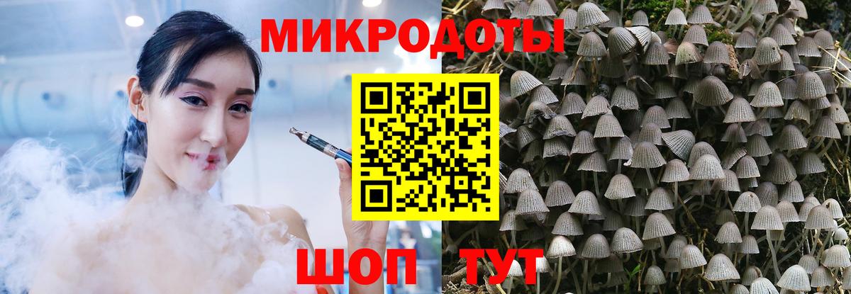 где продают наркотики  Вход с VPN  Галлюциногенные грибы MAGIC MUSHROOMS  Котлас  Галлюциногенные грибы мицелий 