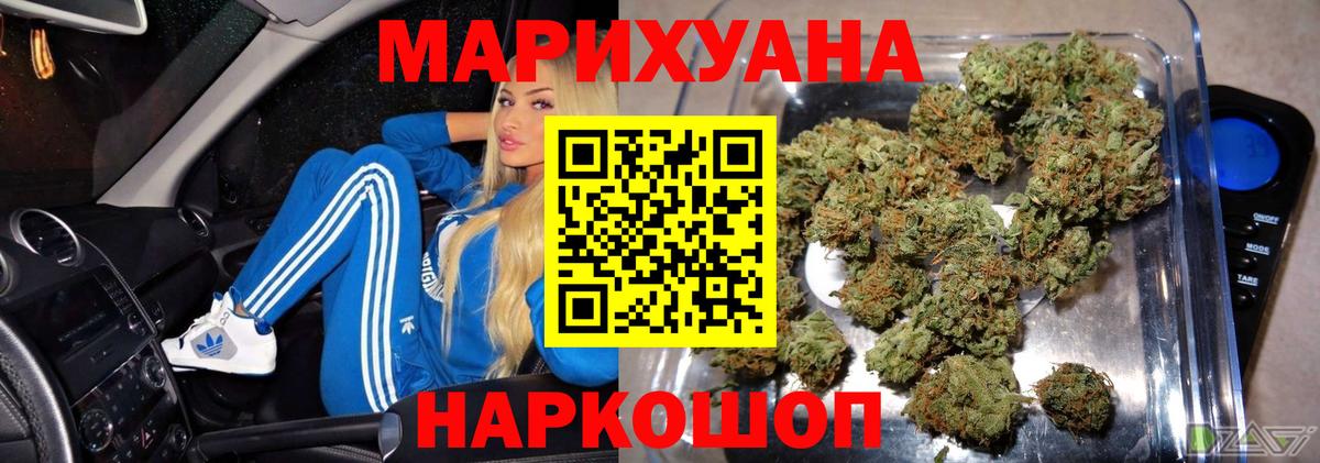 Конопля марихуана Котлас